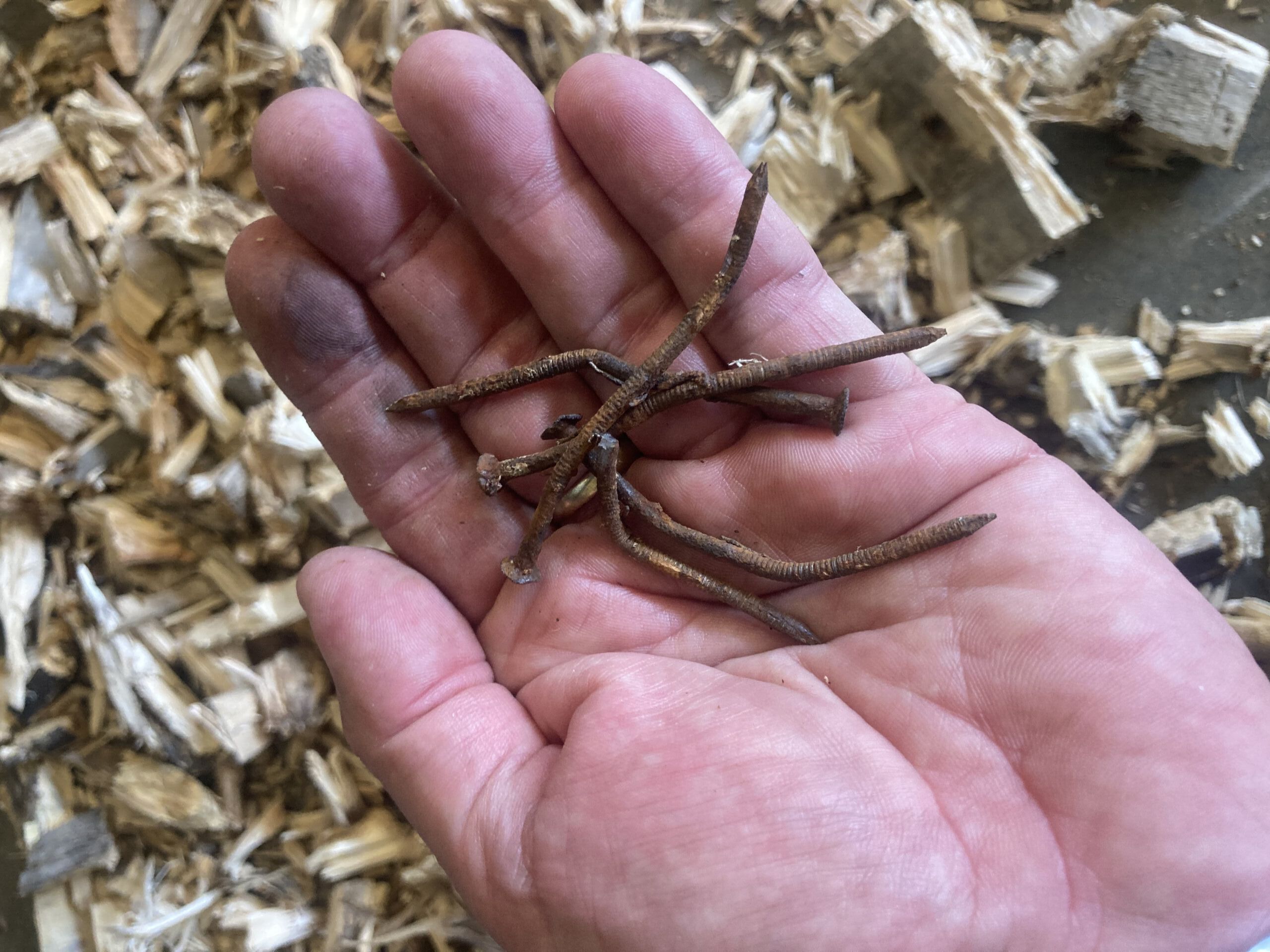 Nails separated from shredded wooden pallets
